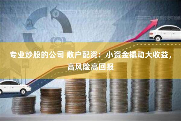 专业炒股的公司 散户配资：小资金撬动大收益，高风险高回报
