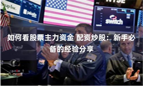 如何看股票主力资金 配资炒股：新手必备的经验分享